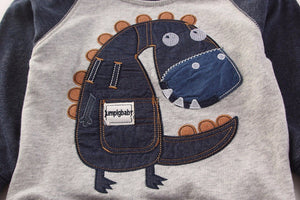 Embroidered Raglan Dinosaur Applique Cotton Sweatshirt