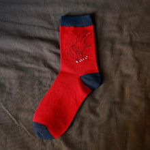 1Pair Cotton Mens Dinosaur Socks 5 Color Options