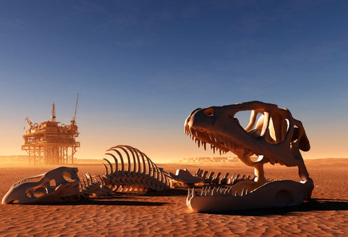 Vinyl Dinosaur Mad Max Photography Backdrops