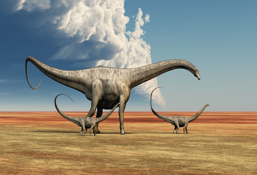 Wasteland Science Fiction Dinosaurs Photo Backgrounds