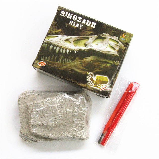 Dinosaur Fossil Archaeological Excavation Toy