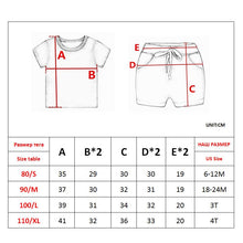 2 Piece Stegosaurus T-Shirt & Shorts Outfit Set