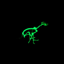 Neon Glow in The Dark  Dinosaur Pendant Skeleton Necklace