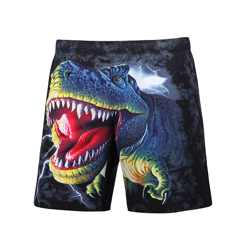 Men's Dinosaur Quick Dry Swim Trunks