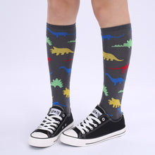 Knee High Rainbow Dinosaur Womens Knee Socks