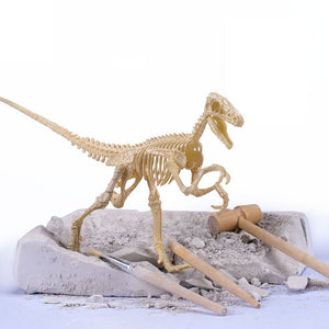 Jurassic Archaeology Dinosaur Fossil Dig Excavation KIt
