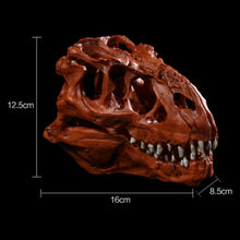 Resin T-Rex Skull Replica
