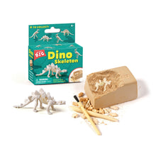 Small Dinosaur Random Dinosaur Fossil Dig Excavation Toy Kit