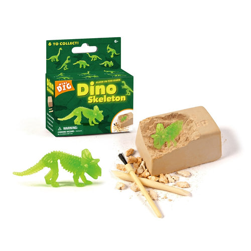 Glow In The Dark Small Dinosaur Fossil Dig Excavation Toy Kit