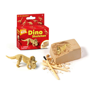 Small Dinosaur Fossil Triceratops Dig Excavation Toy Kit