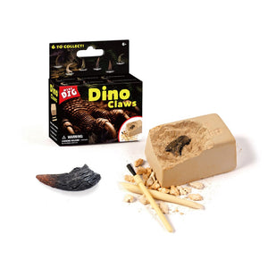 Small Dinosaur Claw Fossil Dig Excavation Toy Kit