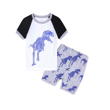 Baby T-Shirt + Shorts 2 Piece T-Rex Set